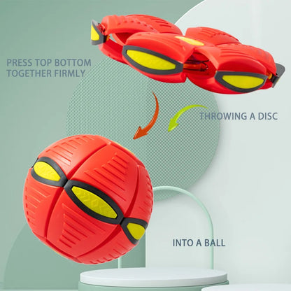2-in-1 Flying Saucer & Bouncy Dog Ball