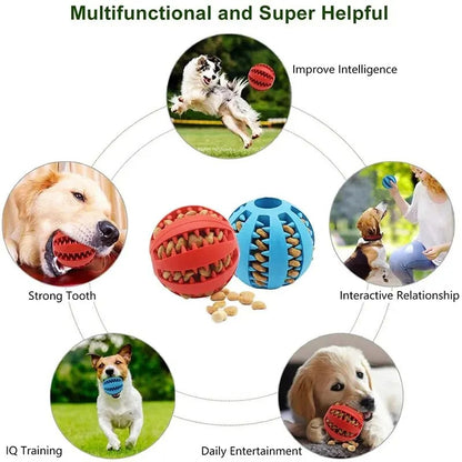 Treat Chew Ball for Dogs