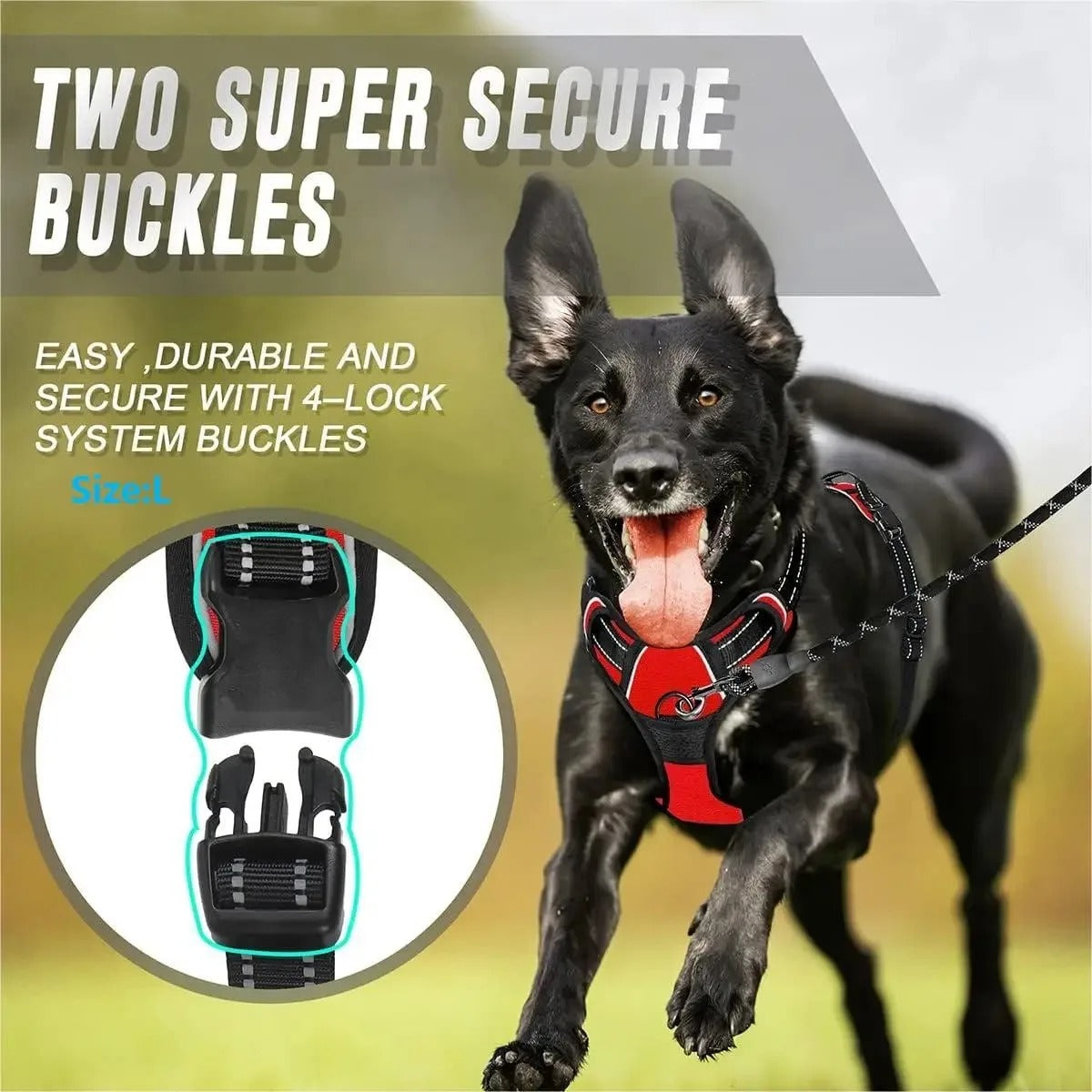 Premium Dog Collar & Harness Set