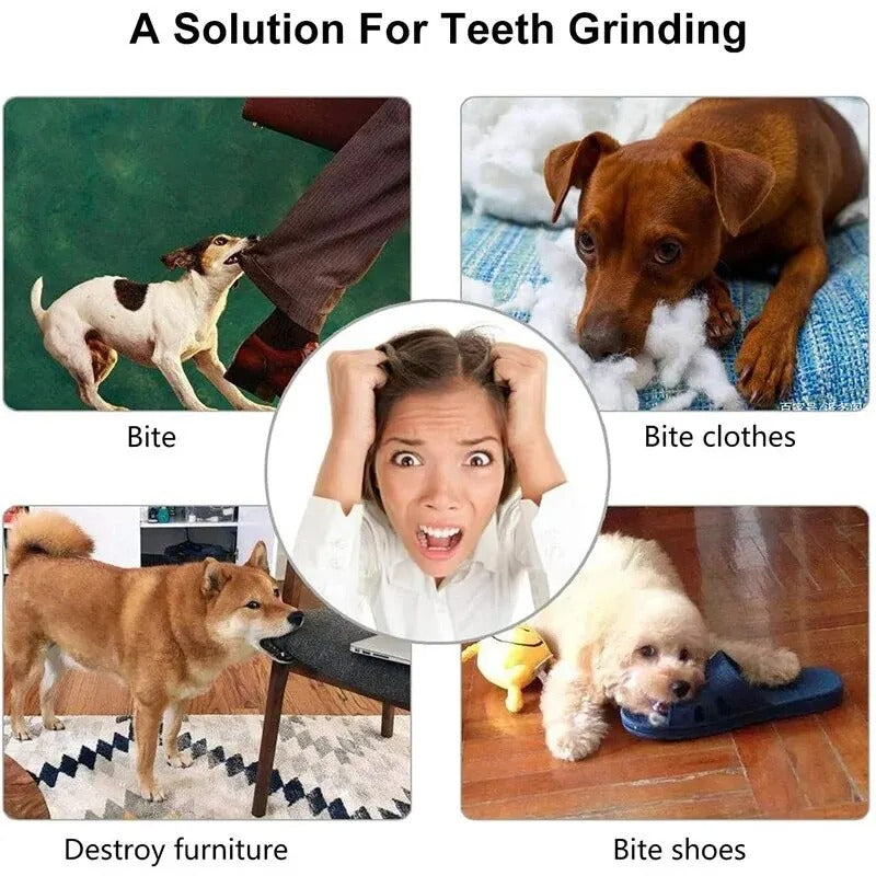 Treat Chew Ball for Dogs