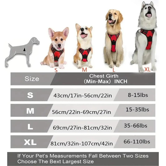 Premium Dog Collar & Harness Set
