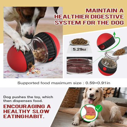 Interactive IQ Toy & Feeder Ball