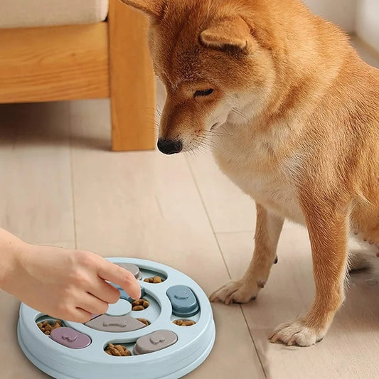 Interactive Slow Feeder Puzzle Bowl for Dogs
