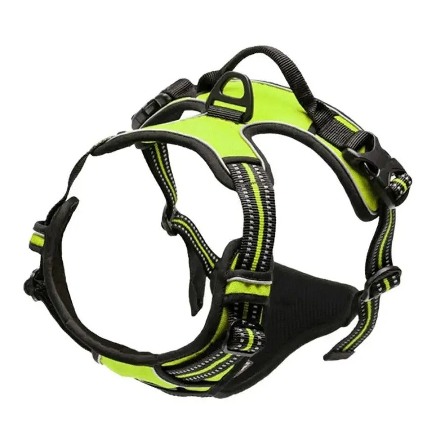 Premium Dog Collar & Harness Set