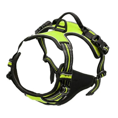 Premium Dog Collar & Harness Set