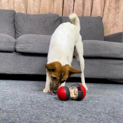Interactive IQ Toy & Feeder Ball