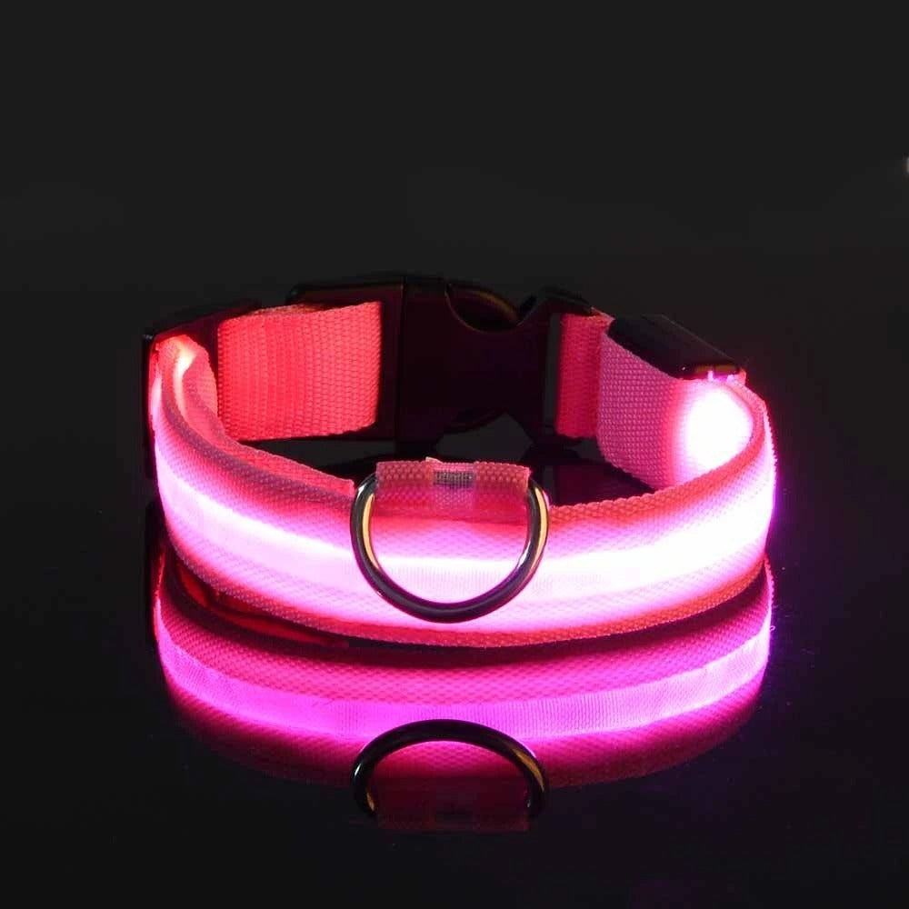 LED Glow Dog Leash & Collar Set