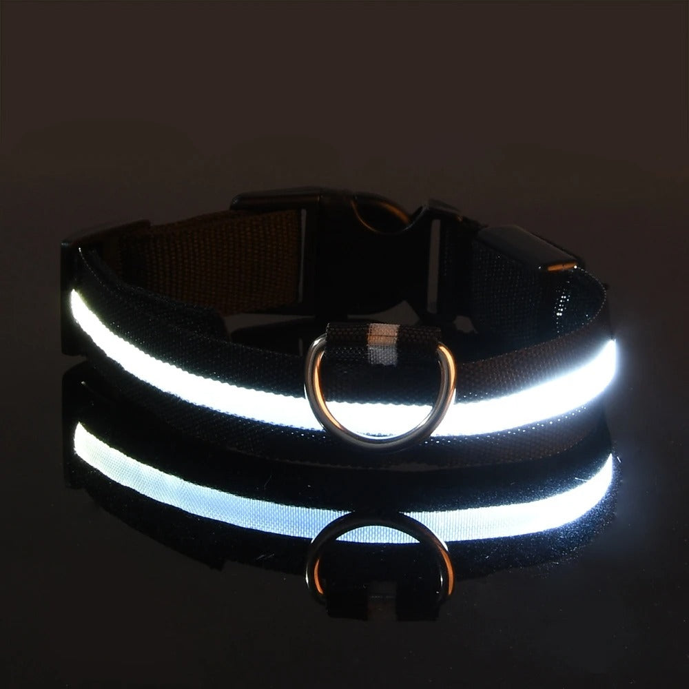LED Glow Dog Leash & Collar Set