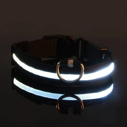 LED Glow Dog Leash & Collar Set
