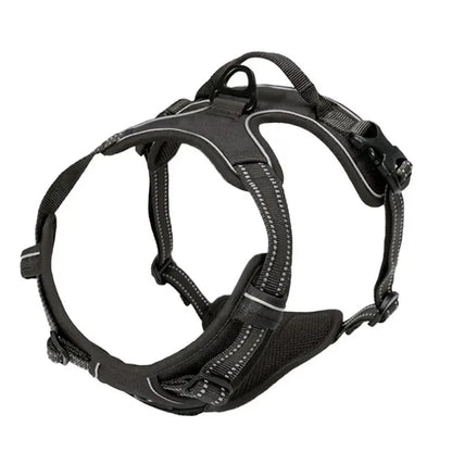 Premium Dog Collar & Harness Set