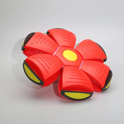 2-in-1 Flying Saucer & Bouncy Dog Ball