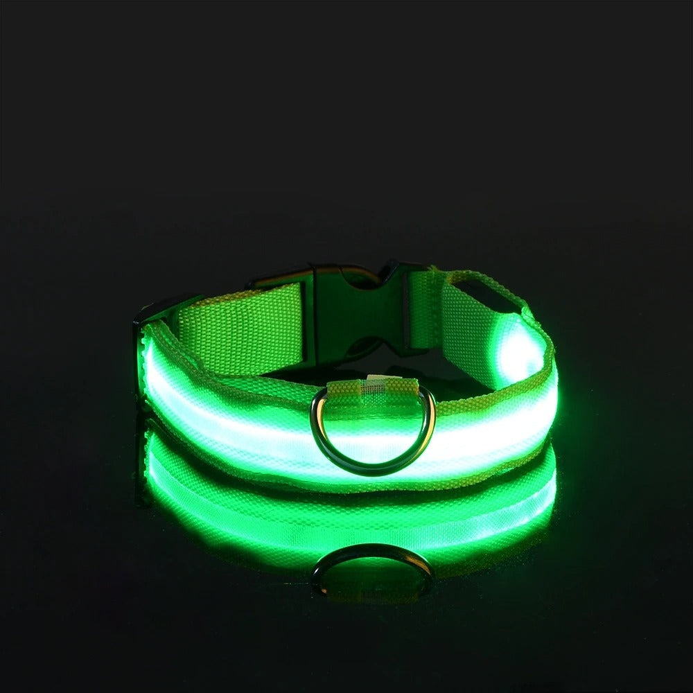 LED Glow Dog Leash & Collar Set