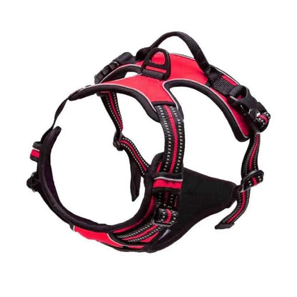 Premium Dog Collar & Harness Set